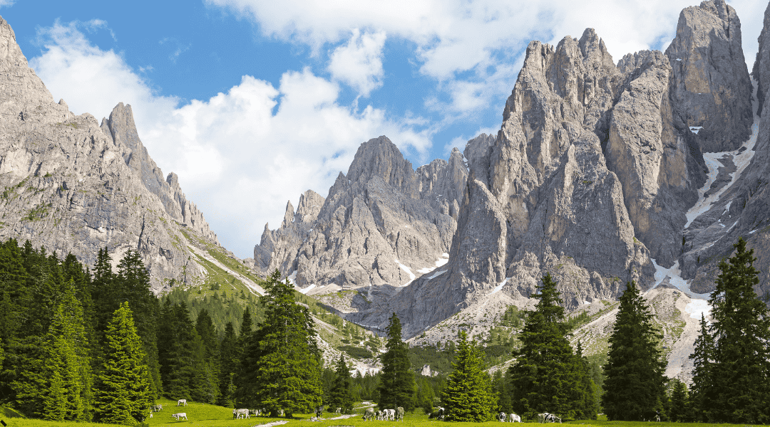 Le Pale di San Martino viste dalla Val Venegia - Trentino Pale di San Martino - Val Venegia